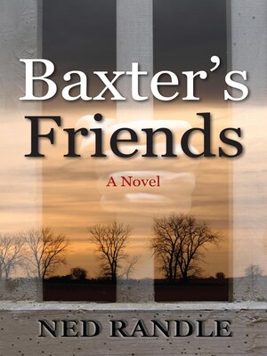 cover image of Baxter's Friends